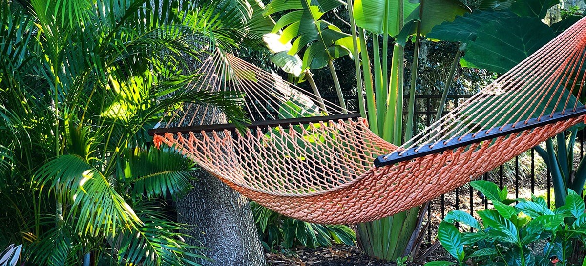 68AE1054-1903-4AE4-8208-7F439D192E0F-2